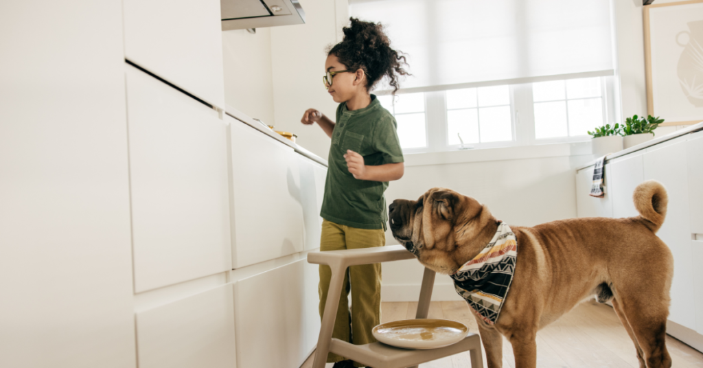 Pros and Cons of Pet-Friendly Rentals for Landlords and Tenants