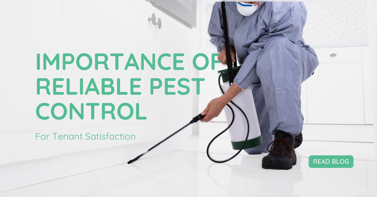 Bed Bug Exterminator Buffalo