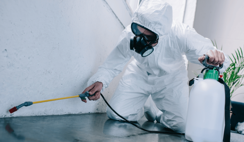 Pest Control Best Practices for Rental Homes