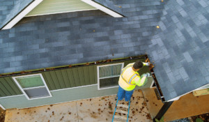 The Impact of Seasonal Maintenance on Property Value