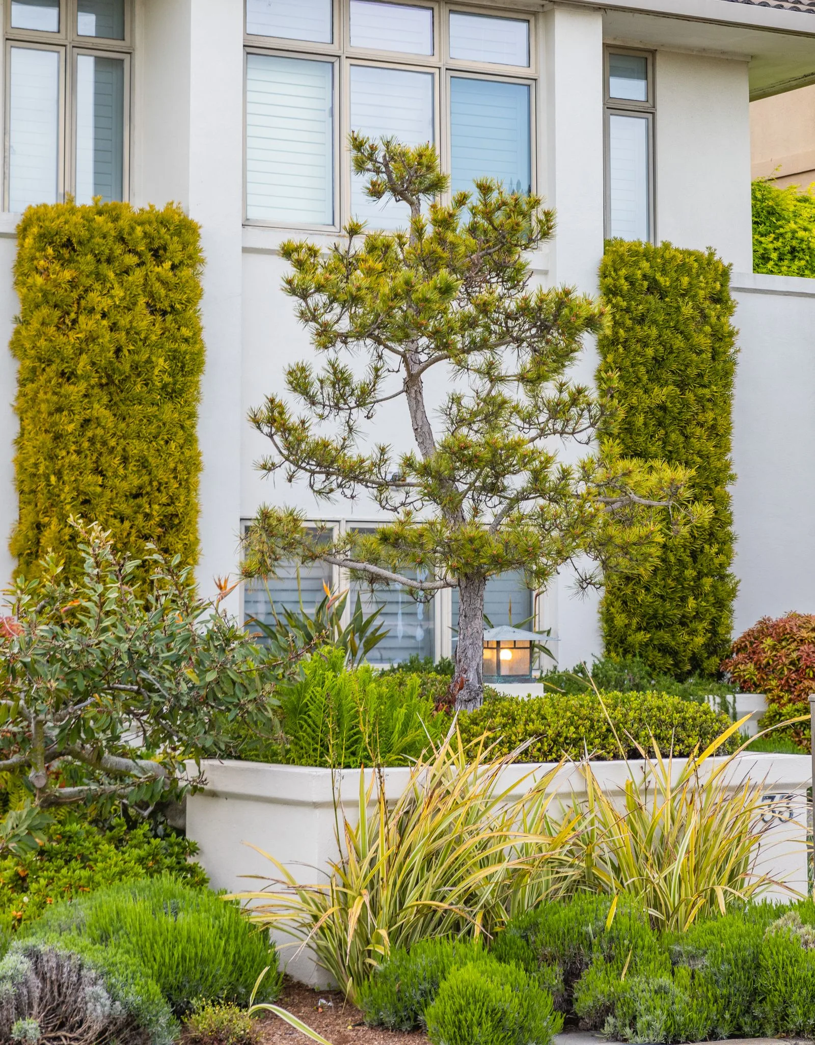 Manicured front-yard landscaping boosting curb appeal on a Boston-area rental property